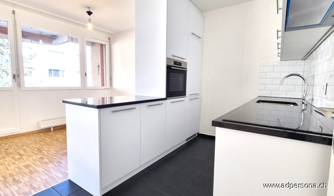 neue, moderne K�che Etagenwohnung Basel