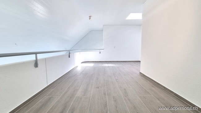 Galerie I Maisonettewohnung Basel