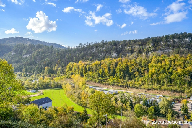 Aussicht von der Parzelle Einfamilienhaus Duggingen