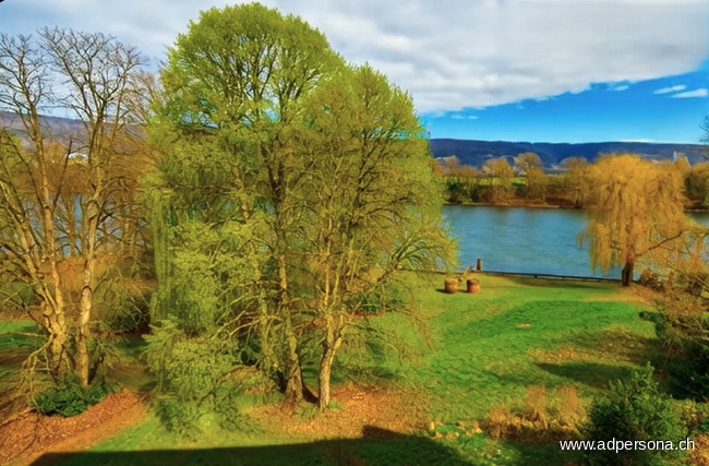 Blick vom Saal Richtung Rhein und Park Gastronomie Pratteln / Schweizerhalle