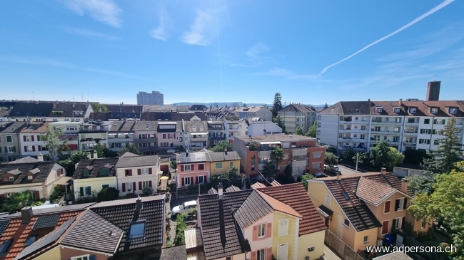 Aussicht Terrasse S�d-Ost Maisonettewohnung Basel