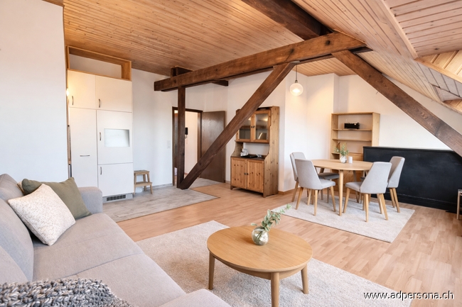 Wohnzimmer andere Ansicht Dachgeschosswohnung Basel