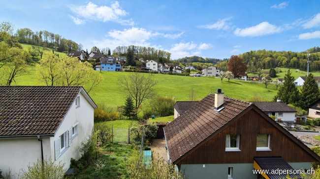 Aussicht Einfamilienhaus Reigoldswil