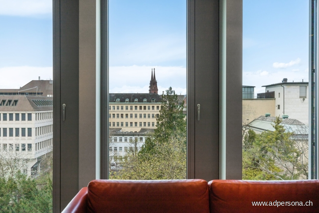 Aussicht auf das Basler M�nster B�rofl�che Basel