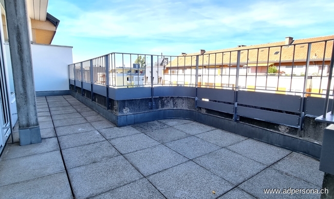 Terrasse Nord - West Maisonettewohnung Basel