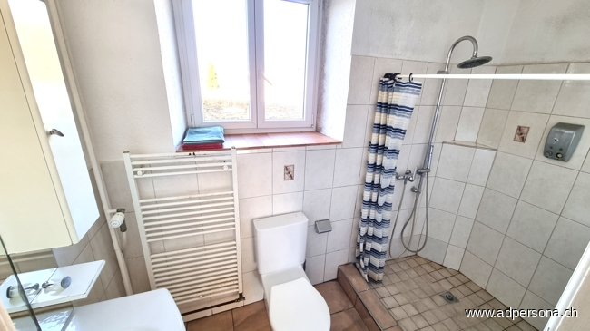 Bad 1.OG Mehrfamilienhaus Schwaderloch