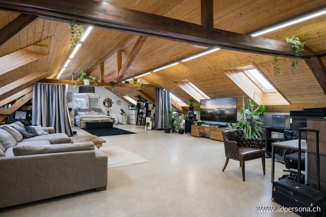 Haus 12 DG 2 Zimmer Loftwohnung Wohn- / Gesch�ftshaus Niederdorf