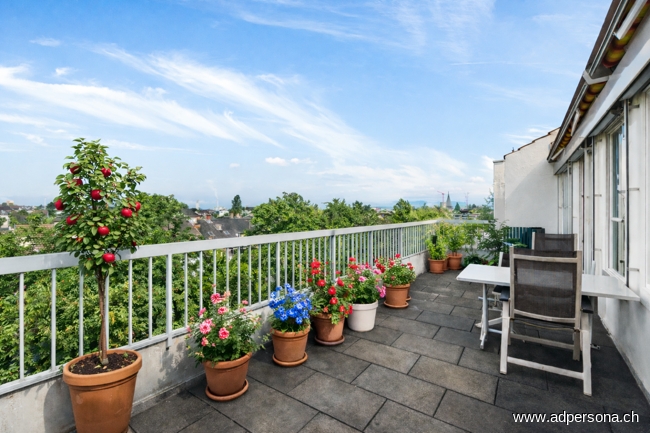 Terrasse Nord-West Maisonettewohnung Basel