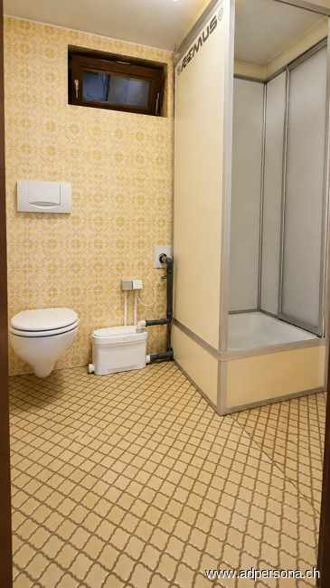 Dusche ELW Einfamilienhaus Neuenburg am Rhein
