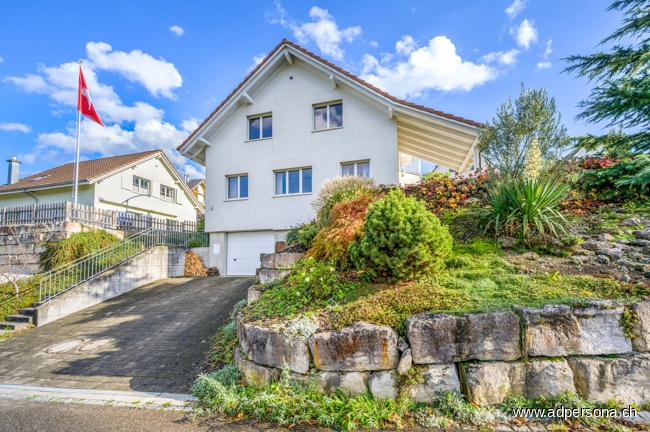 Einfahrt Garage Einfamilienhaus Duggingen