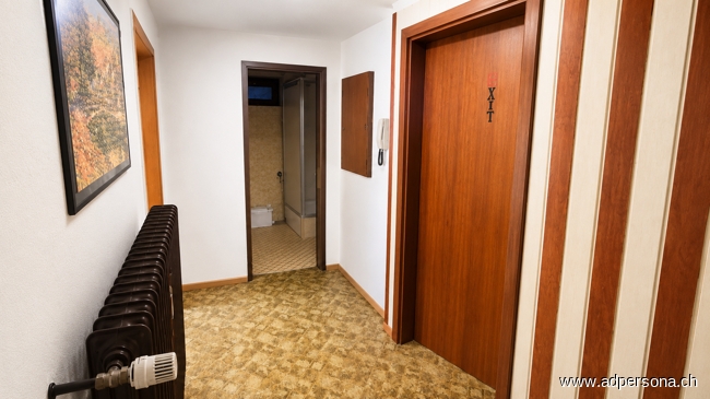 Flur ELW Einfamilienhaus Neuenburg am Rhein