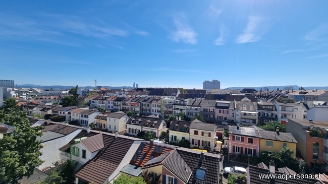 Aussicht Terrasse S�d Ost Maisonettewohnung Basel