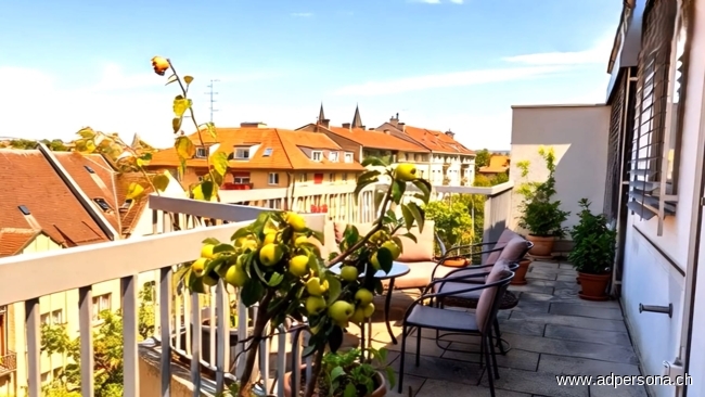 Terrasse S�d-Ost Maisonettewohnung Basel
